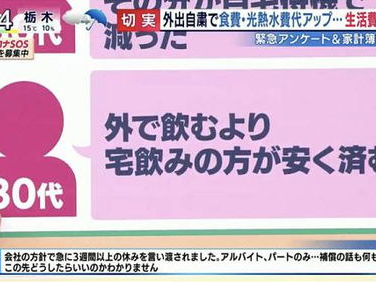 日本人帮日本算了一笔账