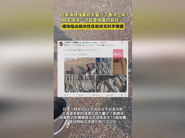 “沙丁鱼奇现海滩：揭秘日本海域强震前的自然预警现象”