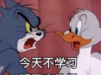 揭秘：为何只有大学生能领略豆包的“傻”魅力