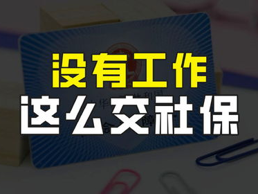 无业人士如何缴纳社保：探索社保缴纳新途径